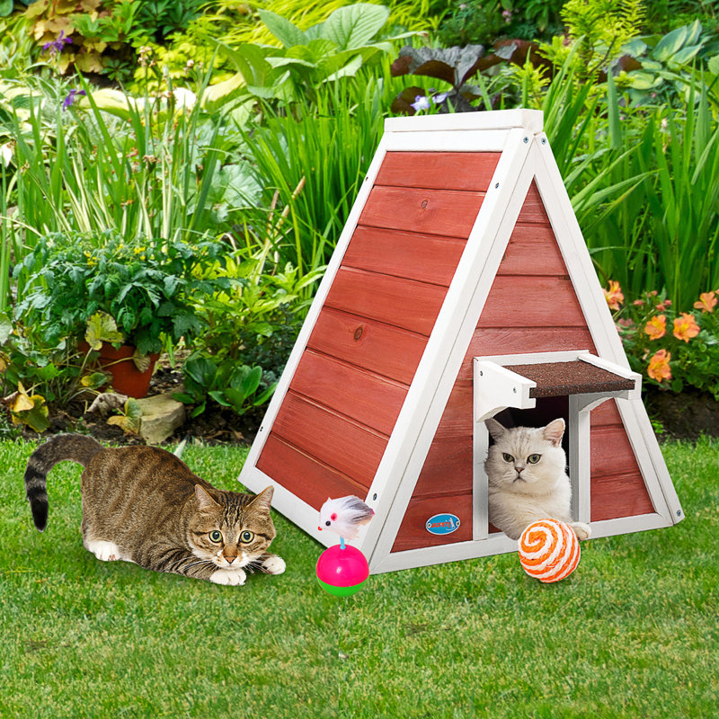 Jaxpety Wood Cat Pet House & Reviews Wayfair.ca